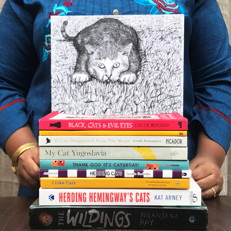 September Recommendations — Cats!