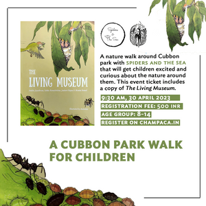 A Nature Walk for Children!