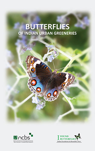 Butterflies of Indian Urban Greeneries Brochure