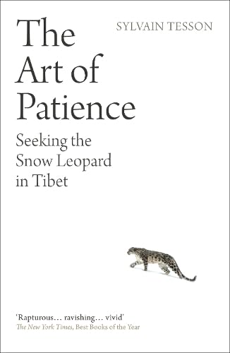 The Art of Patience: Seeking the Snow Leopard in Tibet