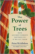 The Power of Trees
