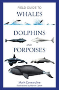 Field Guide To Whales, Dolphins And Porpoises