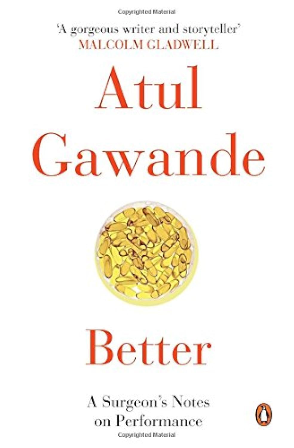 Better: A Surgeon's Notes On Performance