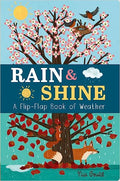 Rain and Shine:A Flip-Flap Book of Weather