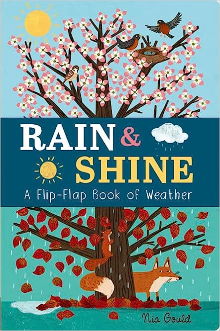 Rain and Shine:A Flip-Flap Book of Weather
