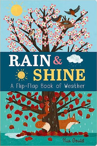 Rain and Shine:A Flip-Flap Book of Weather