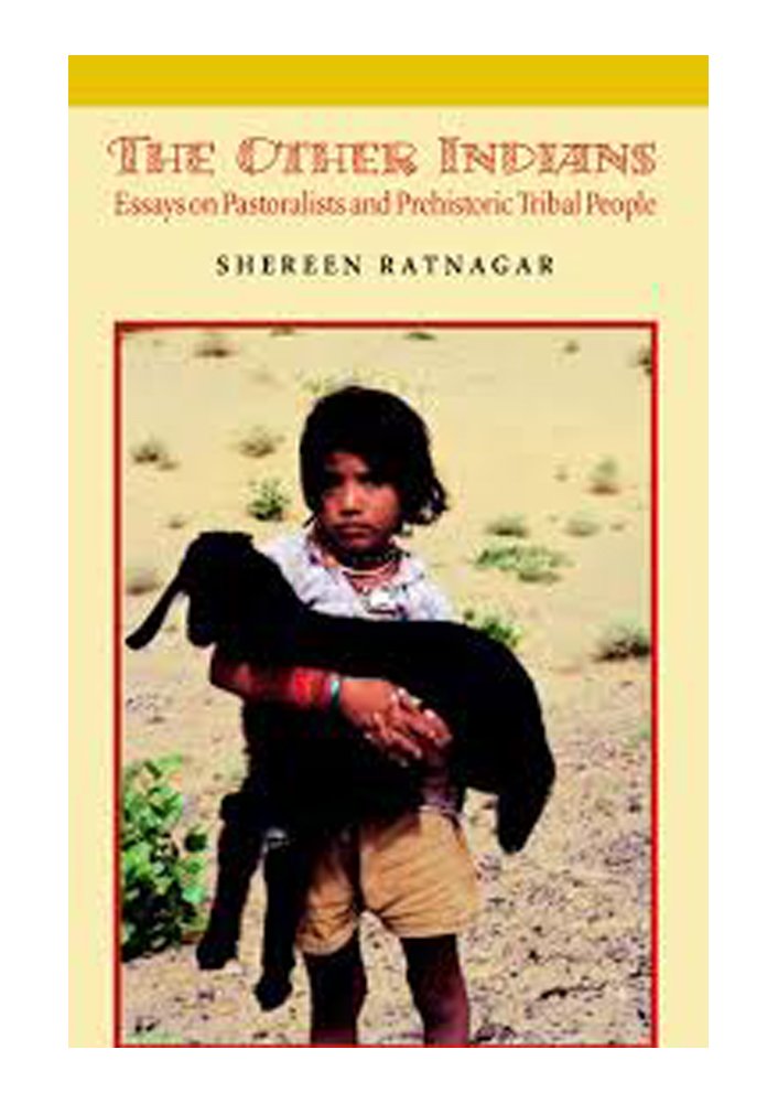 The Other Indians Essays on Pastoralists and Prehistoric Tribal People