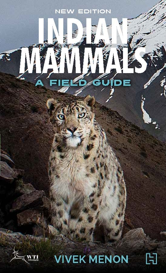 Indian Mammals: A Field Guide