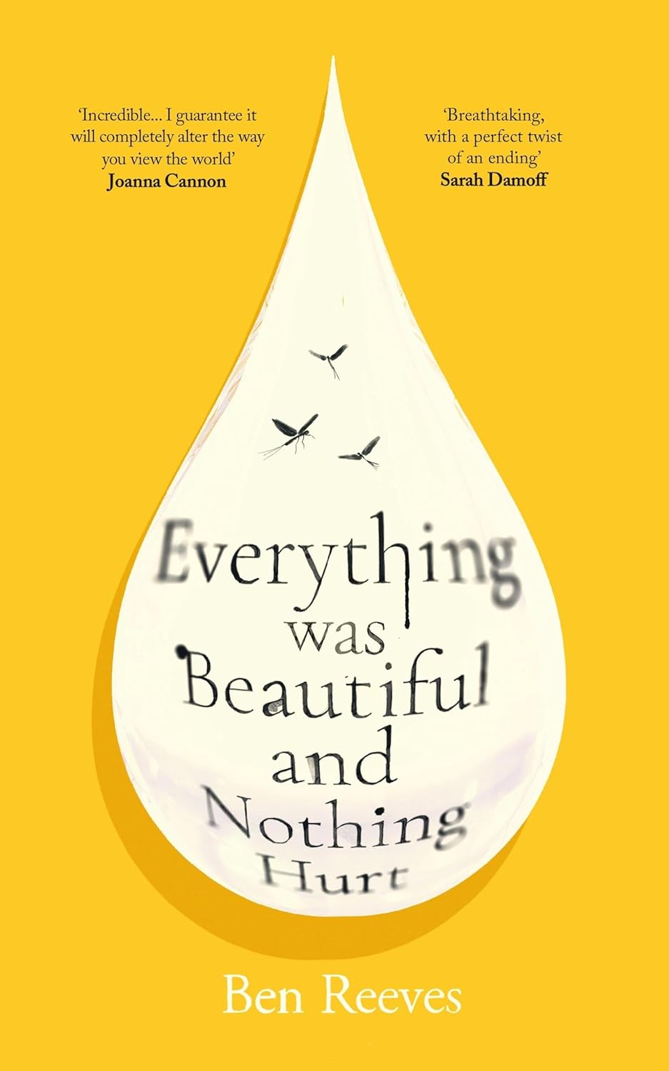 Everything was Beautiful and Nothing Hurt