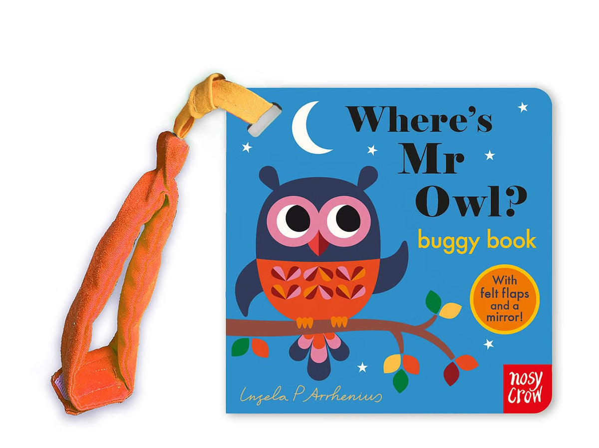 Where's Mr Owl? (Felt Flaps)