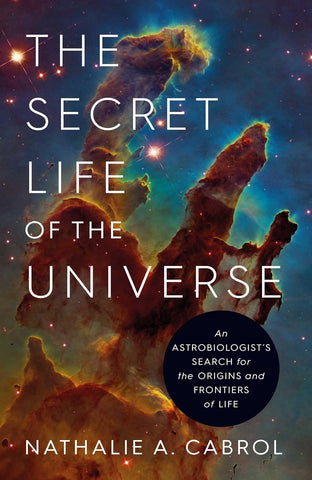 The Secret Life of the Universe