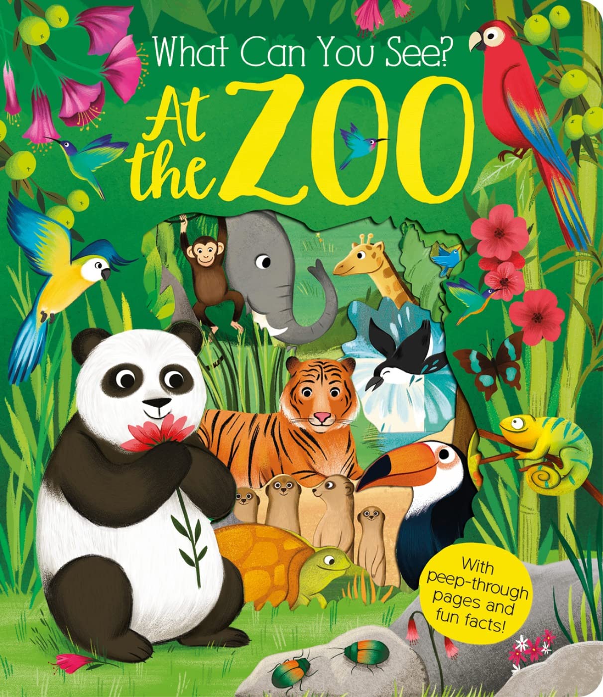 What Can You See at the Zoo