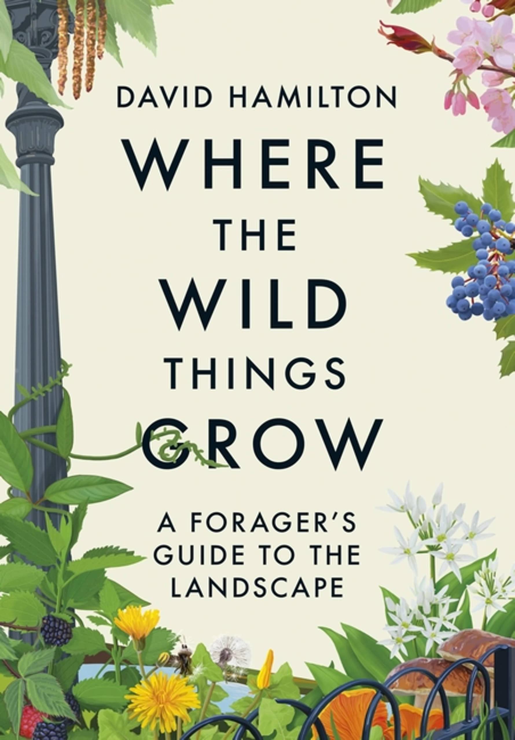 Where The Wild Things Grow: A Forager's Guide To The Landscape