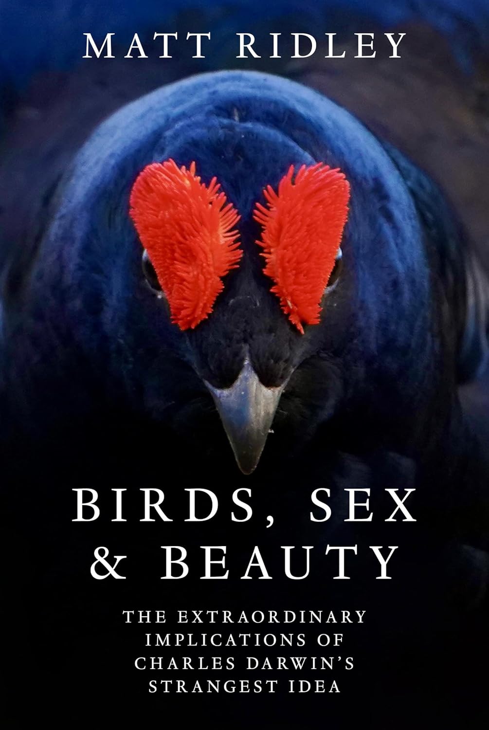 Birds, Sex and Beauty : The extraordinary implications of Charles Darwin’s strangest idea