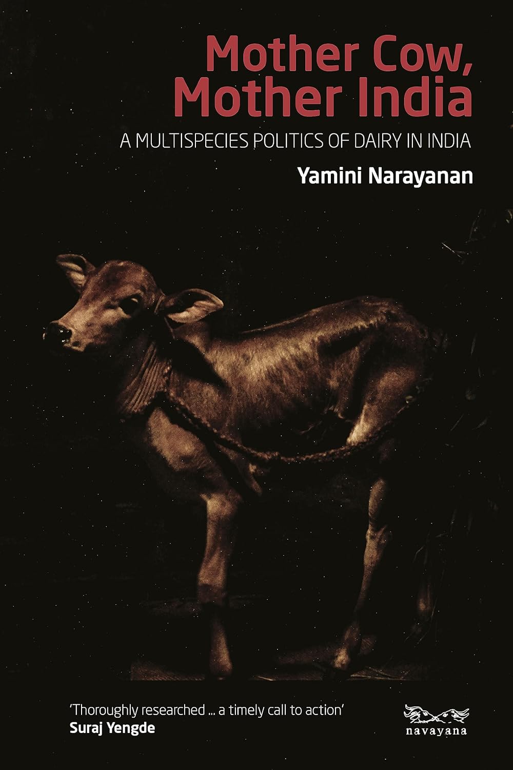 Mother Cow, Mother India: A Multispecies Politics of Dairy in India