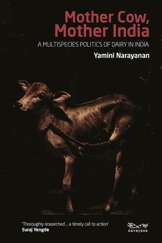 Mother Cow, Mother India : A Multispecies Politics of Dairy in India