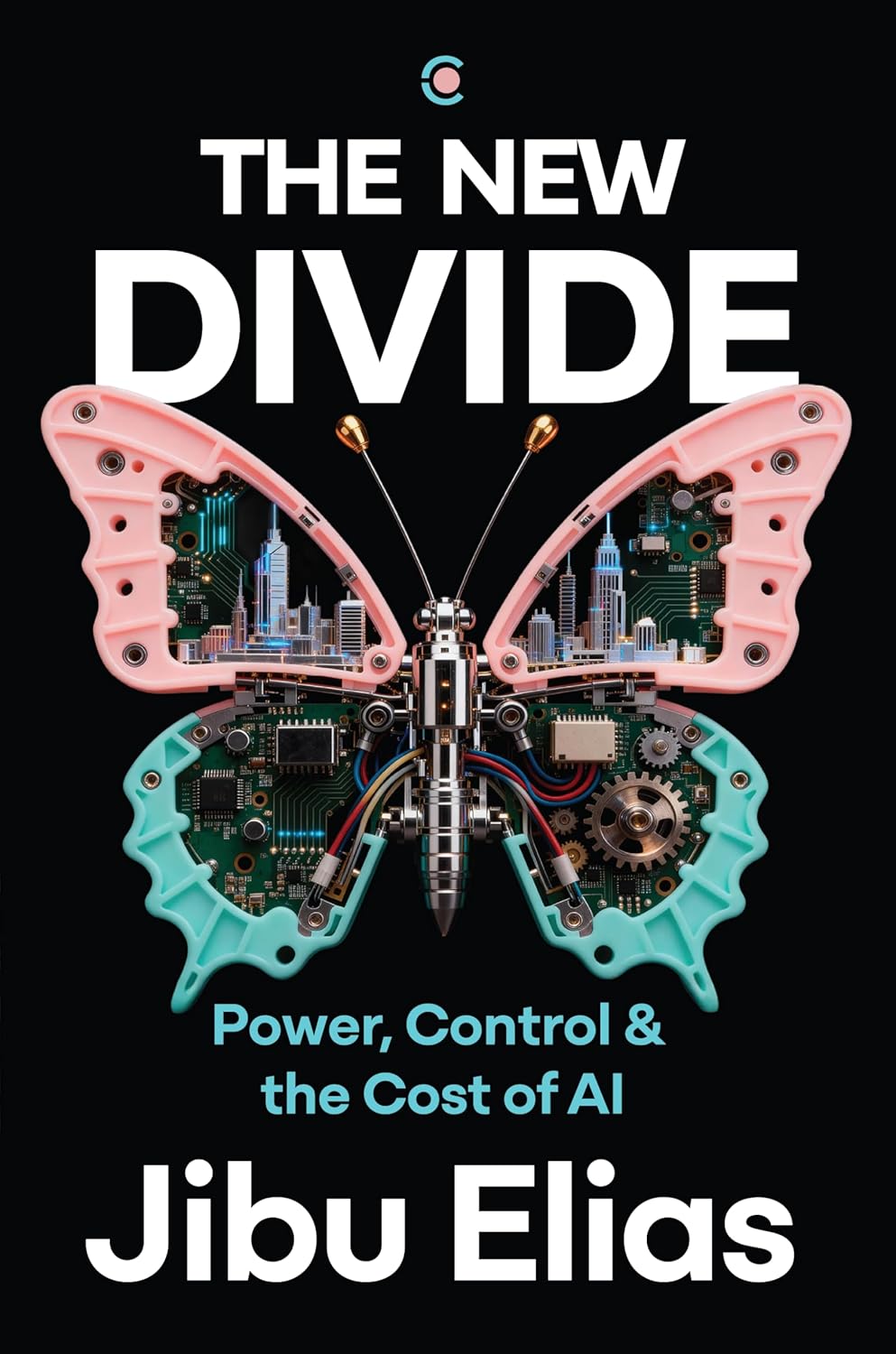 The New Divide