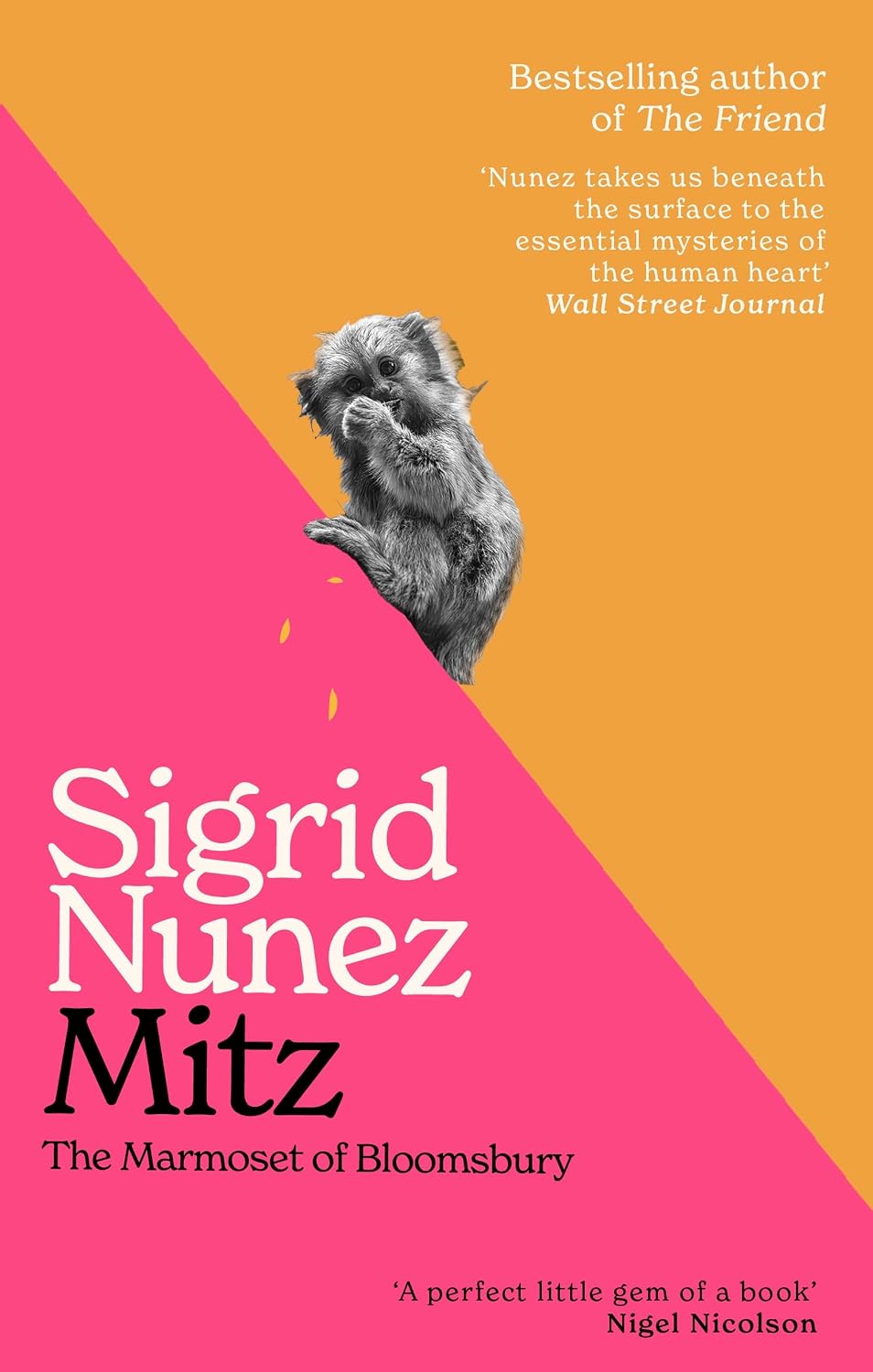 Mitz: The Marmoset of Bloomsbury