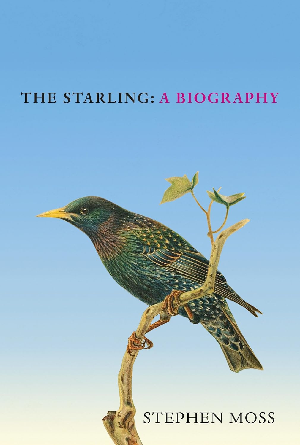 The Starling: A Biography