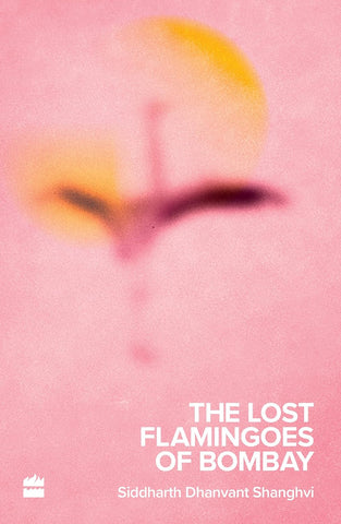 The Lost Flamingoes of Bombay