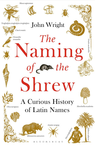 The Naming Of The Shrew