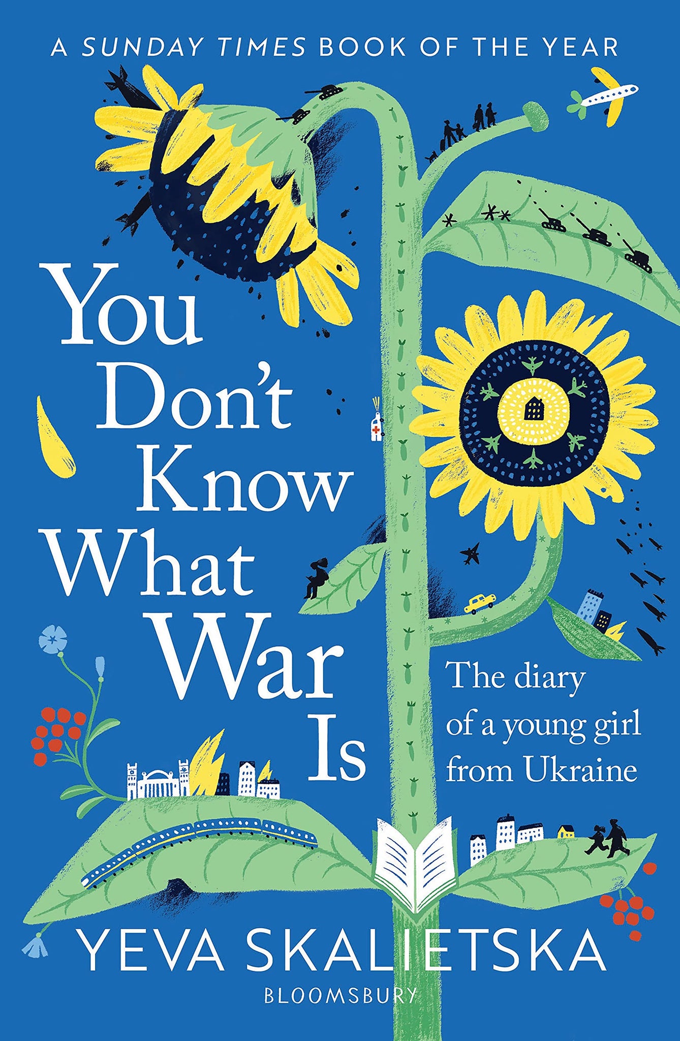You Don't Know What War Is: The Diary of A Young Girl From Ukraine