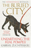 The Buried City: Unearthing the Real Pompeii