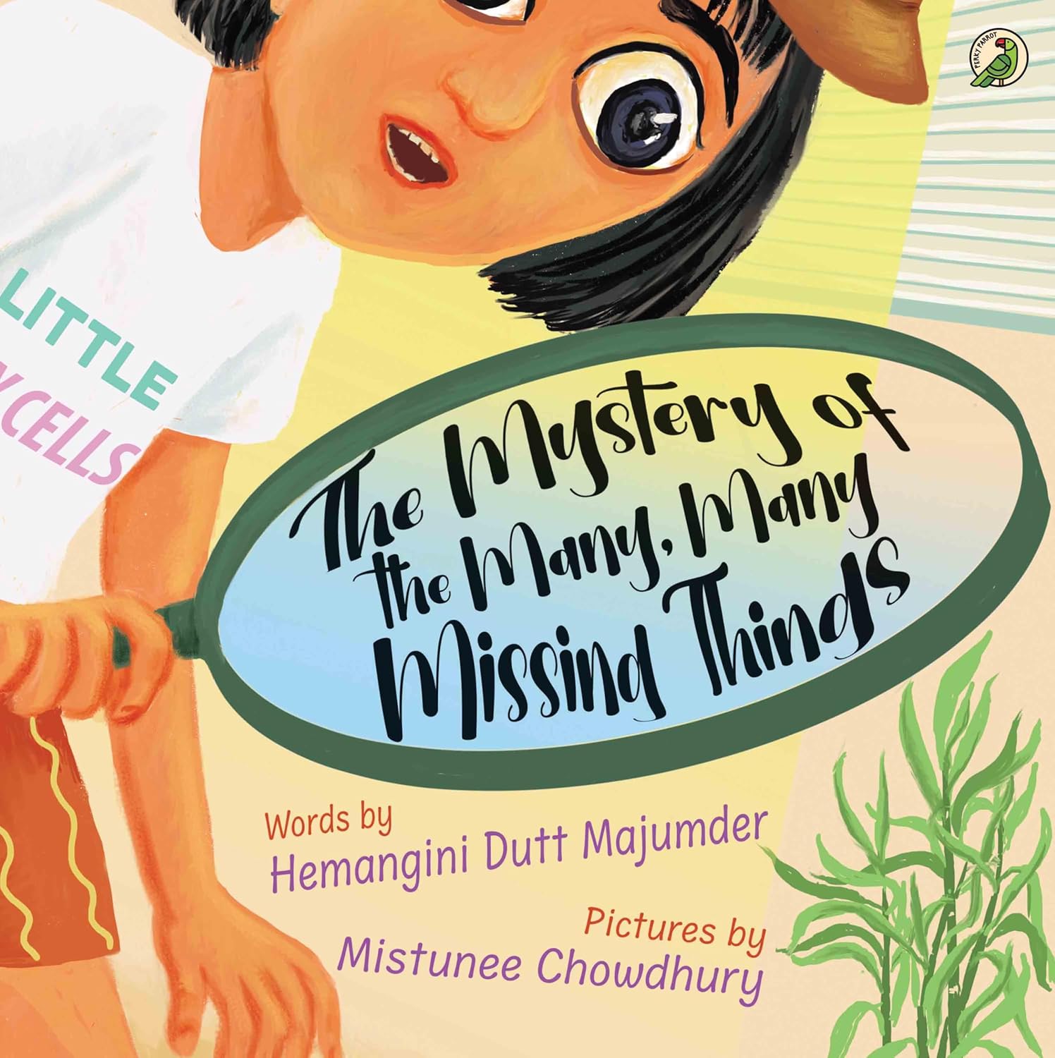 The Mystery of the Many Many Missing Things
