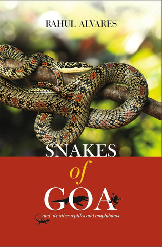 Snakes of Goa