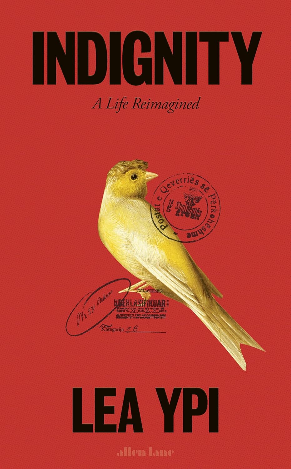 Indignity: A Life Reimagined