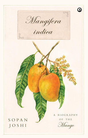 Mangifera Indica: A Biography of the Mango