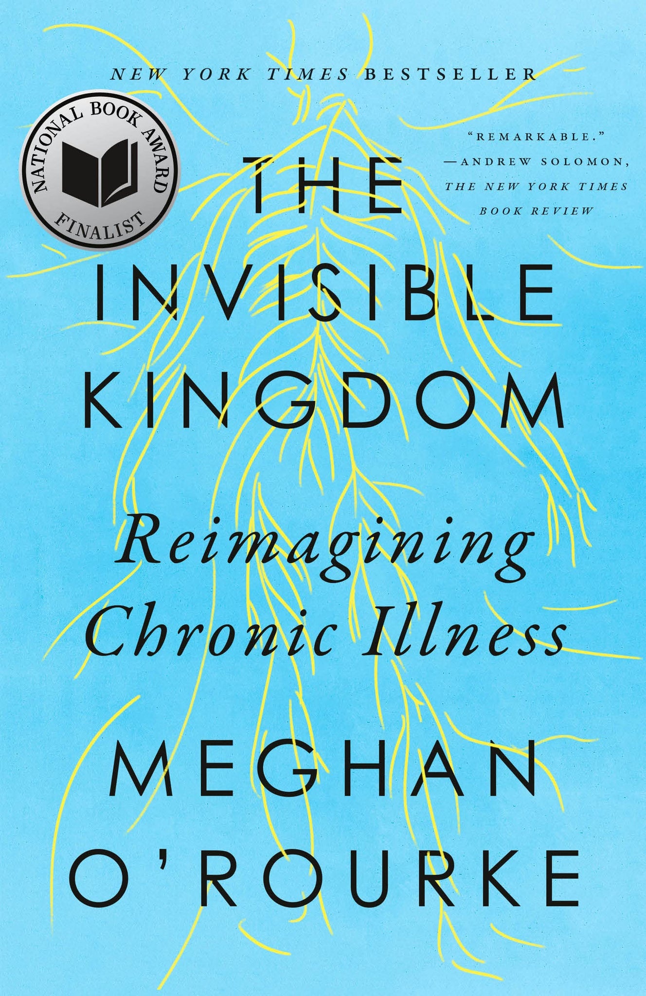 The Invisible Kingdom: Reimagining Chronic Illness