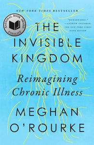 The Invisible Kingdom: Reimagining Chronic Illness