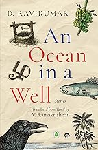 An Ocean in a Well