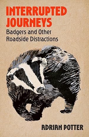 Interrupted Journeys: Badgers and Other Roadside Distractions