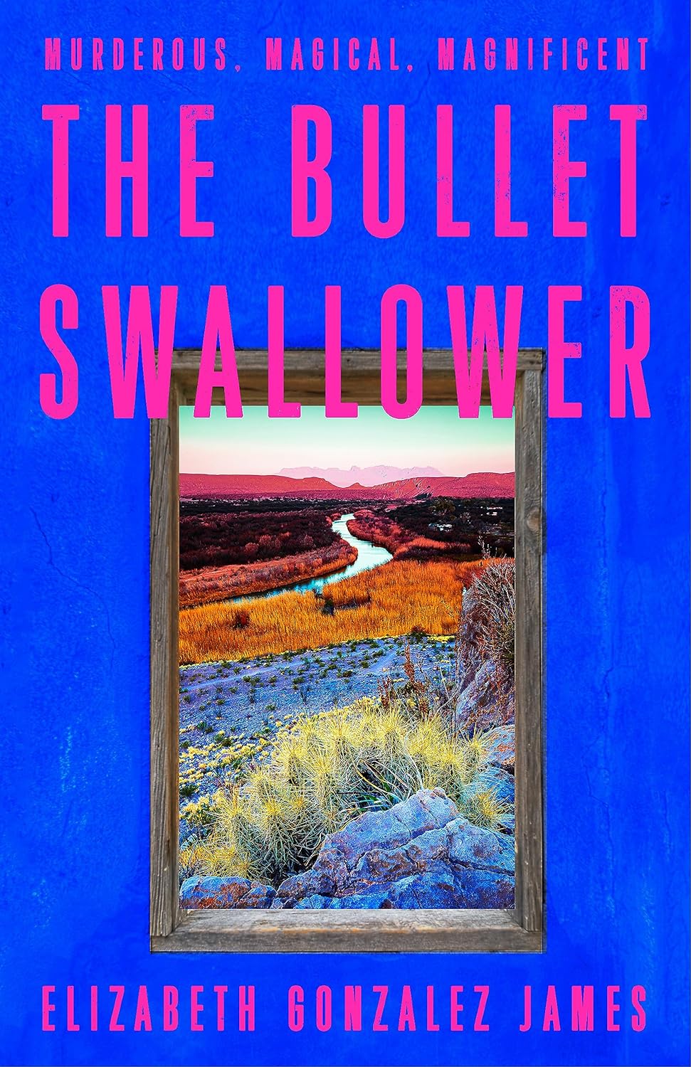 The Bullet Swallower