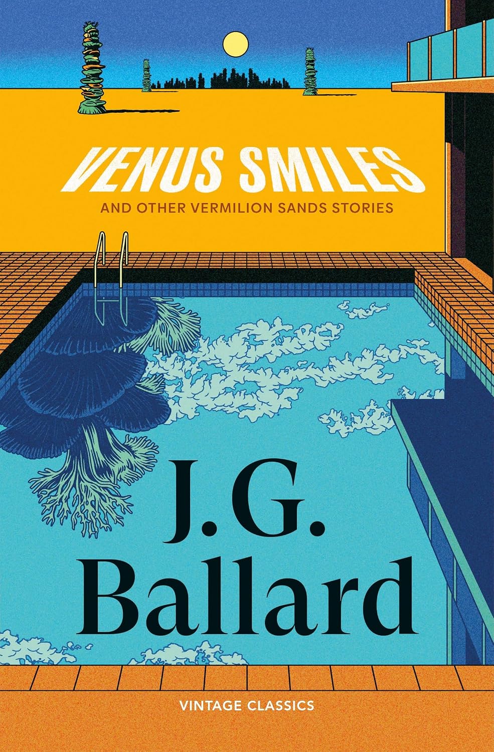 Venus Smiles