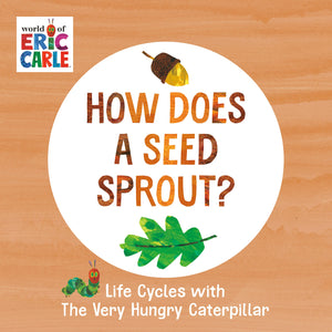 How Does A Seed Sprout? Life Cycles With The Very Hungry Caterpillar