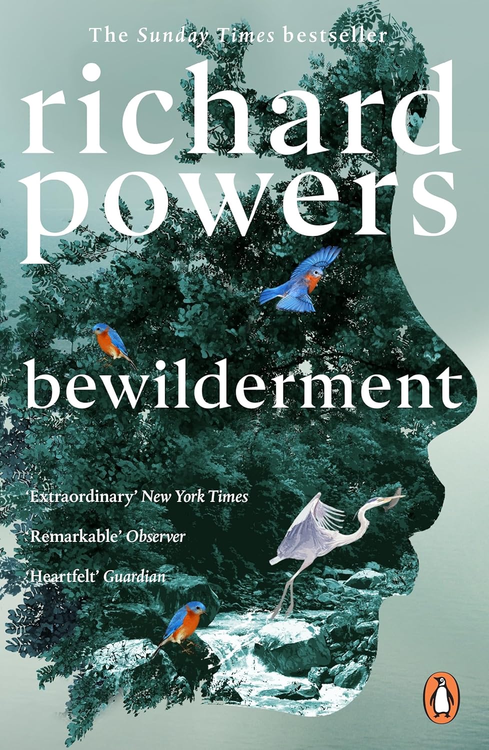 Bewilderment (999 Edition)