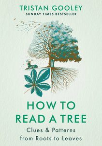 How to Read A Tree: Clues And Patterns From Bark To Leaves