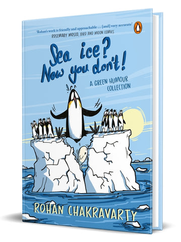 Sea Ice? Now You Don’t!