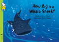 How Big Is a Whale Shark?
