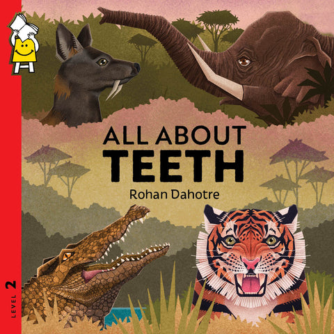 All About Teeth