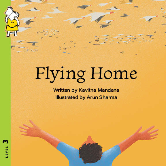 Flying Home