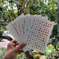 Bangalore In Bloom