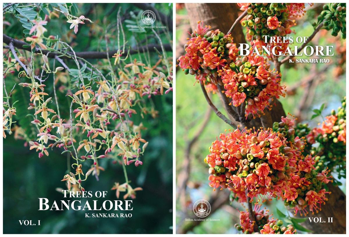 Trees of Bengaluru: Box Set