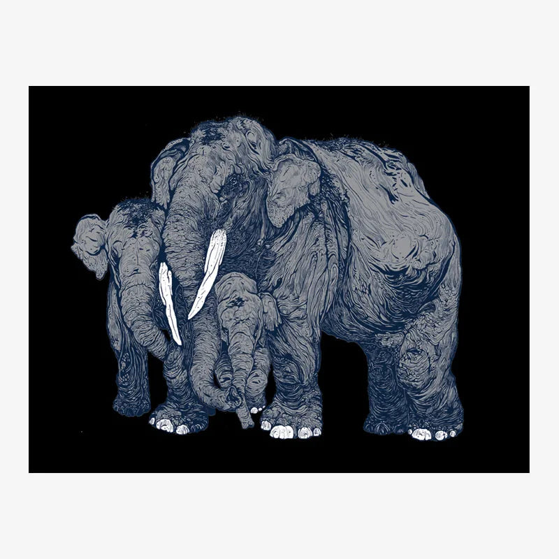 FOREST ENCOUNTERS: ELEPHANTS (GREY) : (Print)