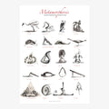 METAMORPHOSIS POSTER