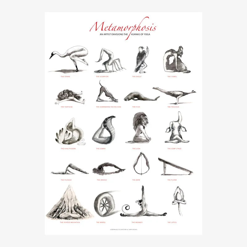METAMORPHOSIS POSTER