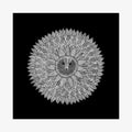 MOON (Print)